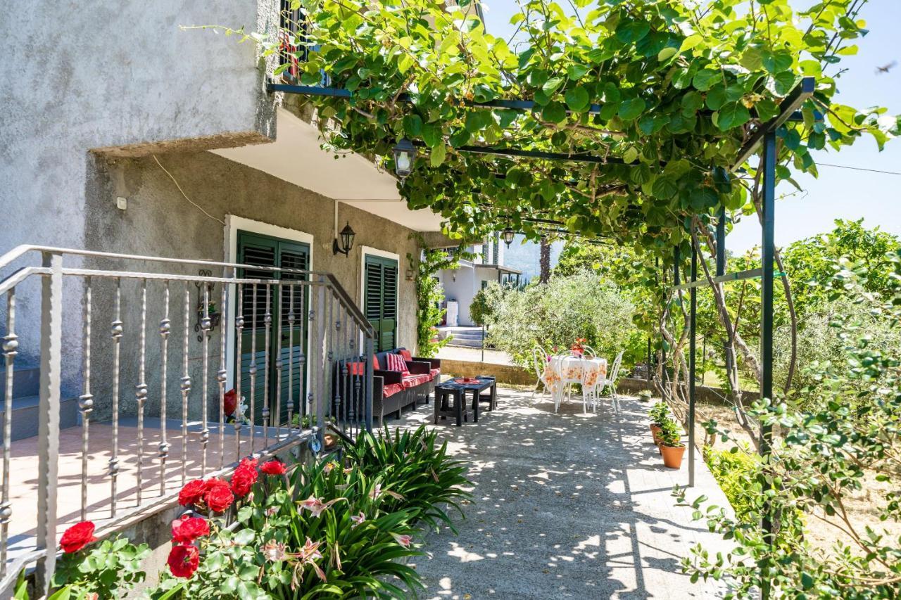Apartment Laurel Leaf Lovorno Экстерьер фото